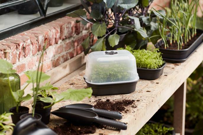 green basics grow tray s living black